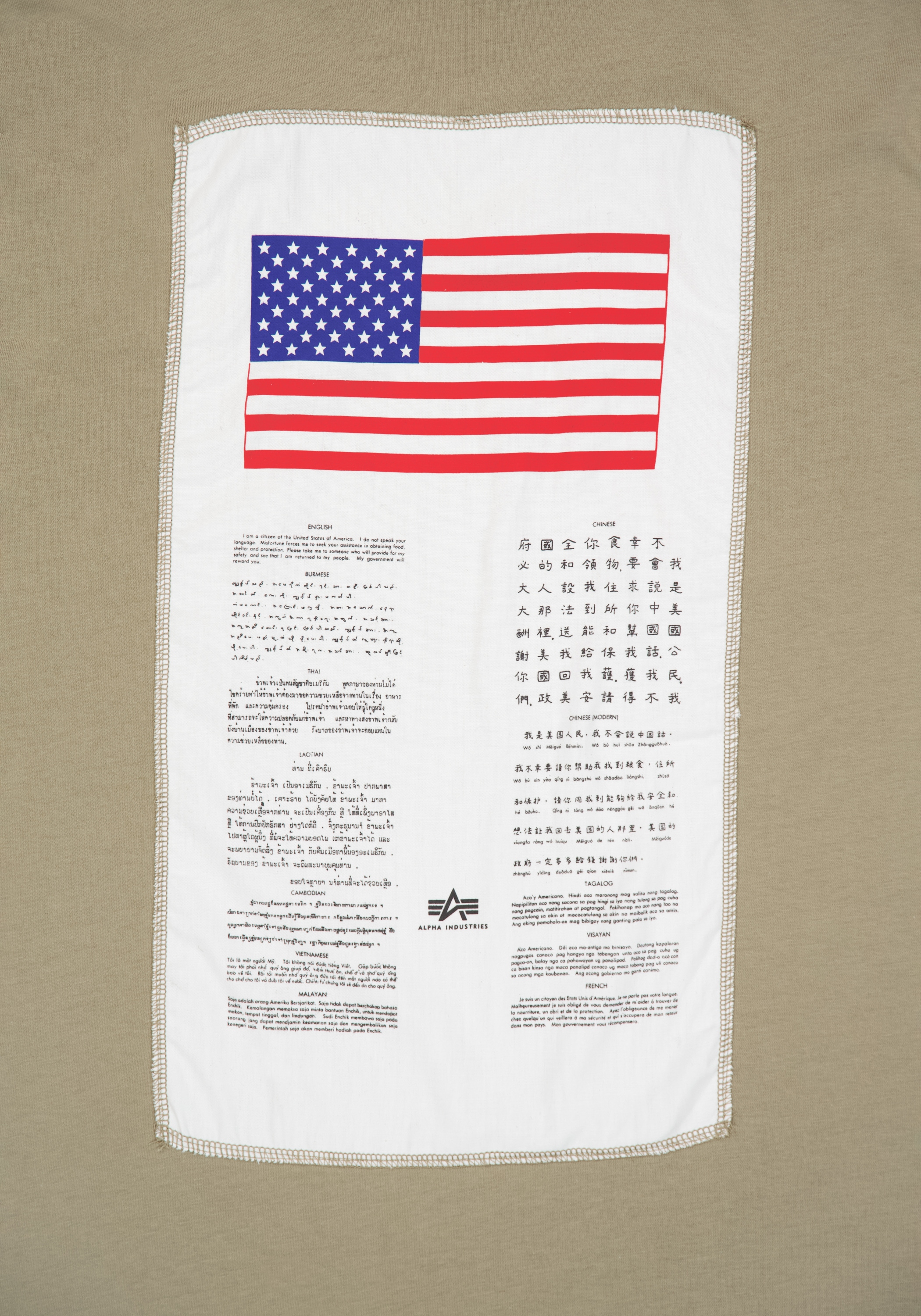 Alpha Industries T-Shirt »Blood Chit T-Shirt T-Shirt«