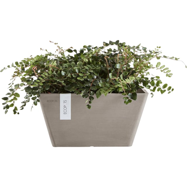 ECOPOTS Blumentopf »BERLIN Taupe«, BxTxH: 31x31x15,5 cm kaufen | BAUR