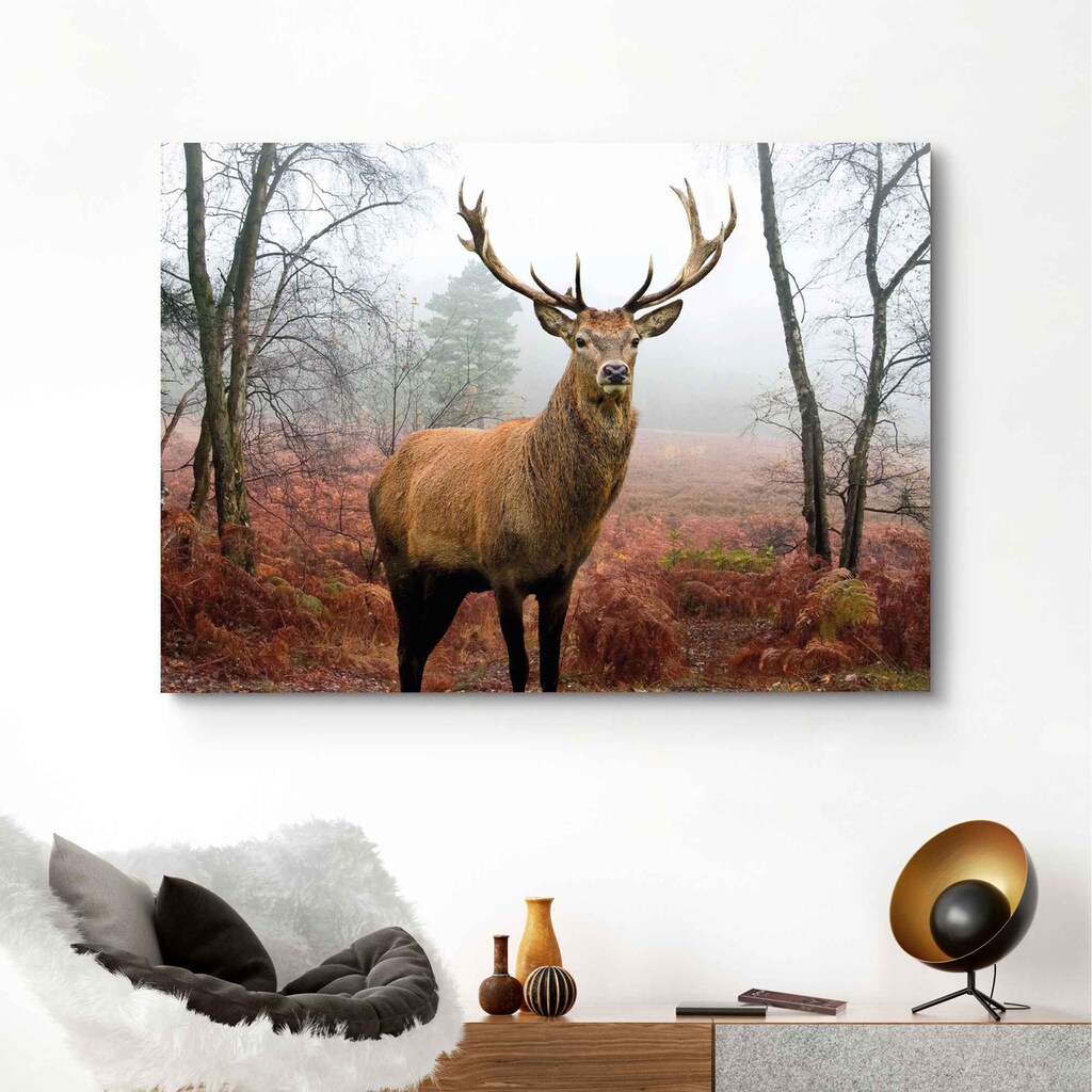 Reinders! Wandbild »Hirsch im Wald Tier - Hirschgeweih - Naturmotiv«, (1 St.)