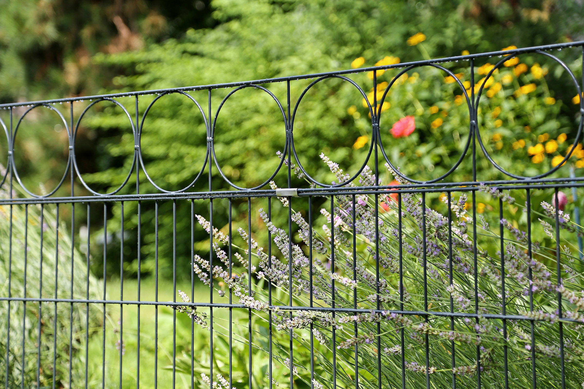 Alberts Doppelstabmattenzaun »Oslo« anthrazit, Höhe: 100-160cm, Gesamtlänge: 10-20m, zum Einbetonieren