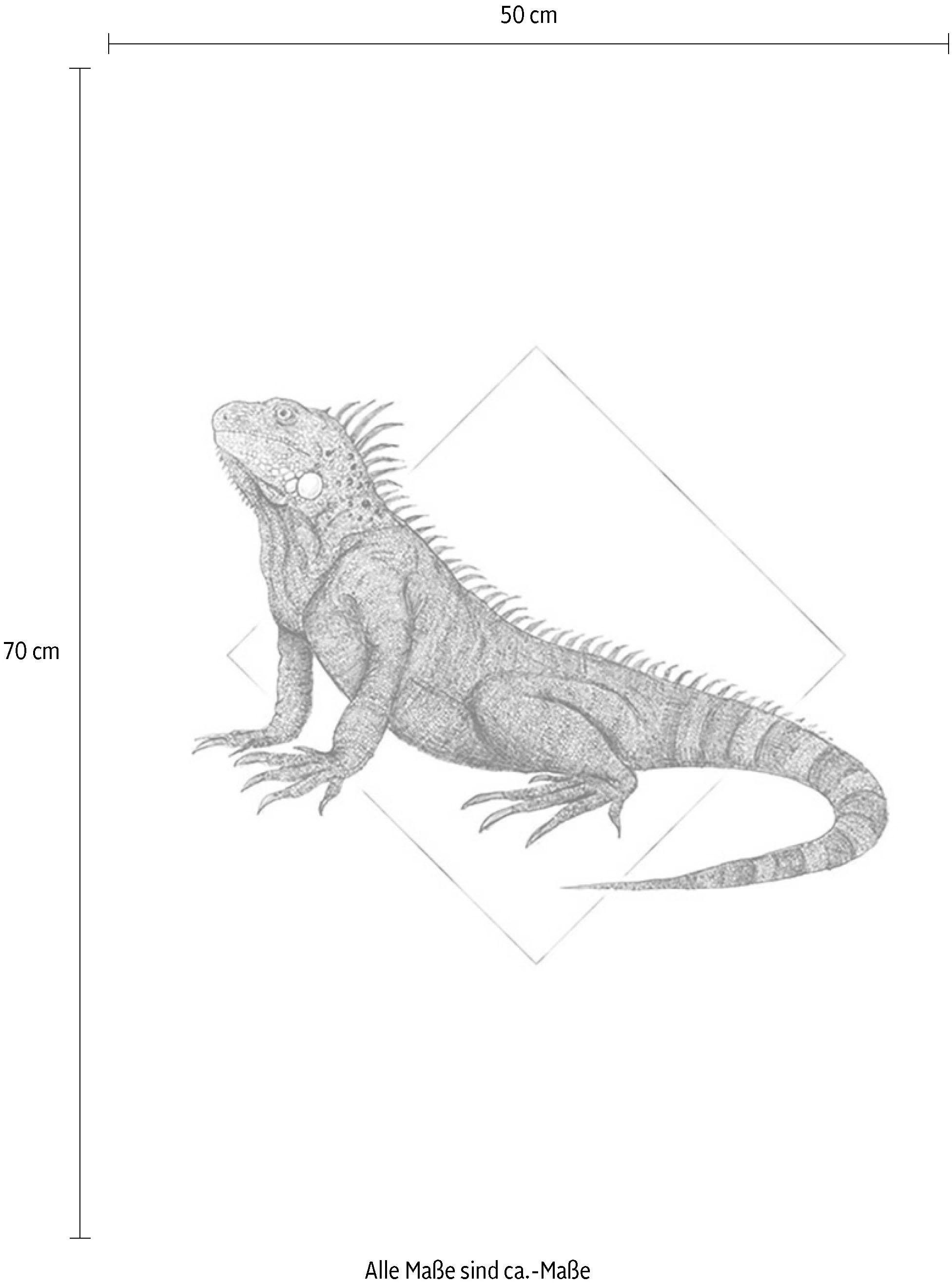 Komar Bild »Iguana White«, Tiere, (1 St.), Wandbild zur Dekoration - ohne Rahmen