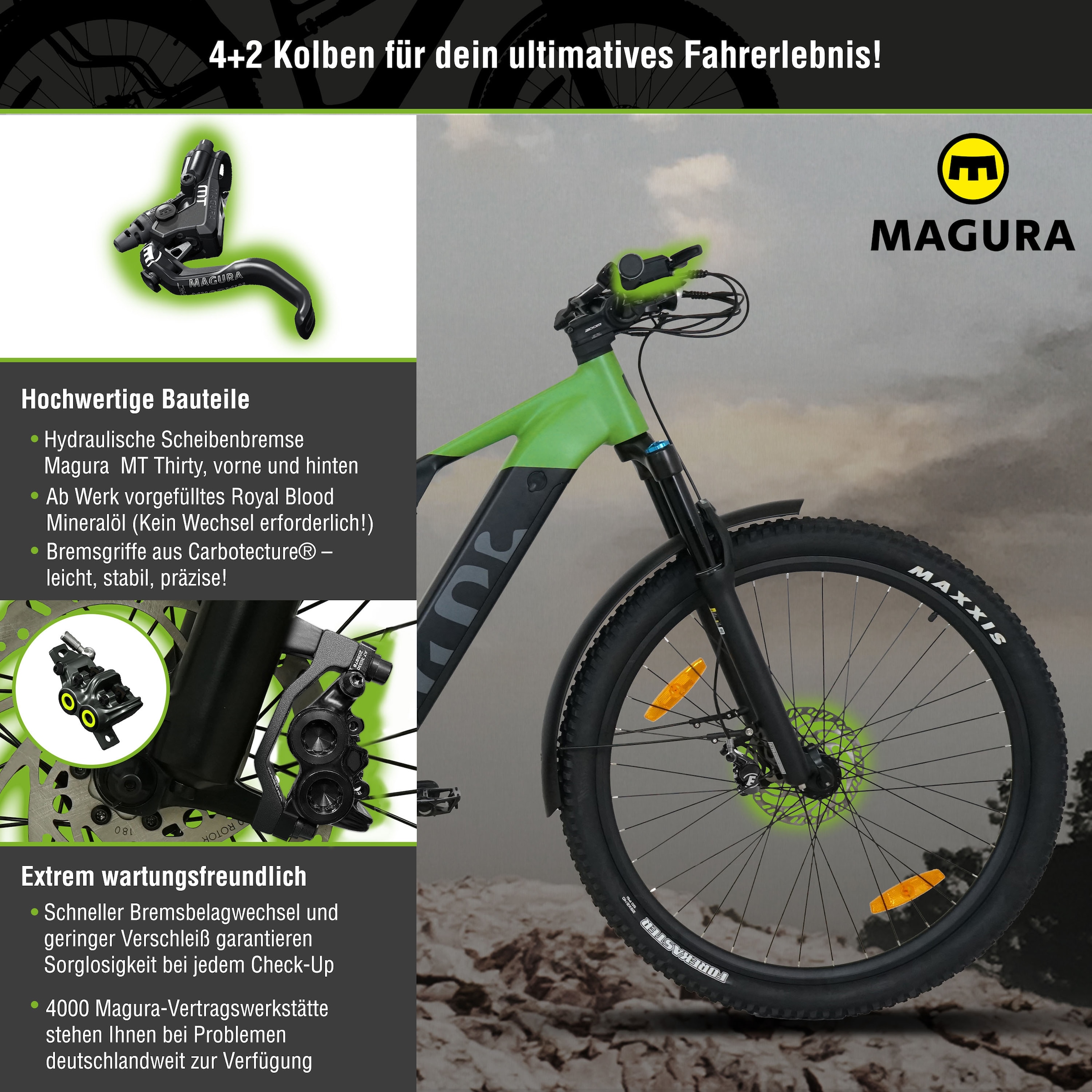 SachsenRad E-Bike »M5T«, 12 Gang, Shimano, Mittelmotor 250 W, TFT Farb-LCD-Steuerdisplay, Fahrmodus Pedelec, 
LED-Frontlicht