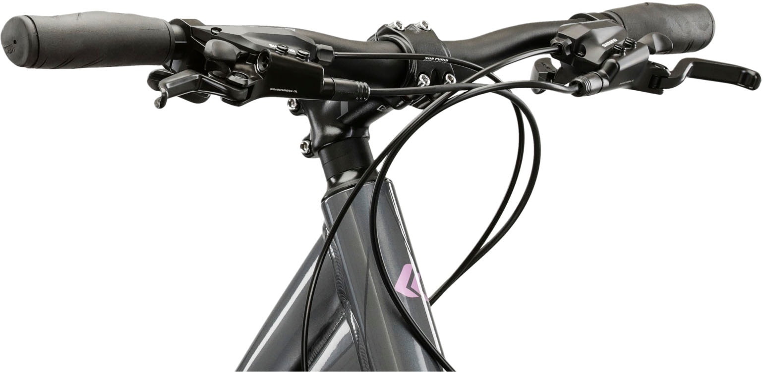Kross Crossrad »Evado 4.0«, 18 Gang, Shimano, ACERA M3020 Schaltwerk, Kettenschaltung