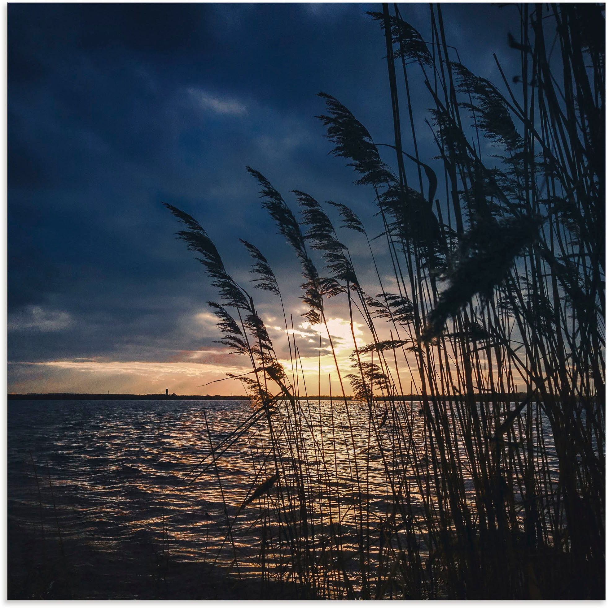 Artland Wandbild »Sonnenuntergang mit Schilf am See«, Seebilder, (1 St.),  als Alubild, Leinwandbild, Wandaufkleber oder Poster in versch. Größen  kaufen | BAUR