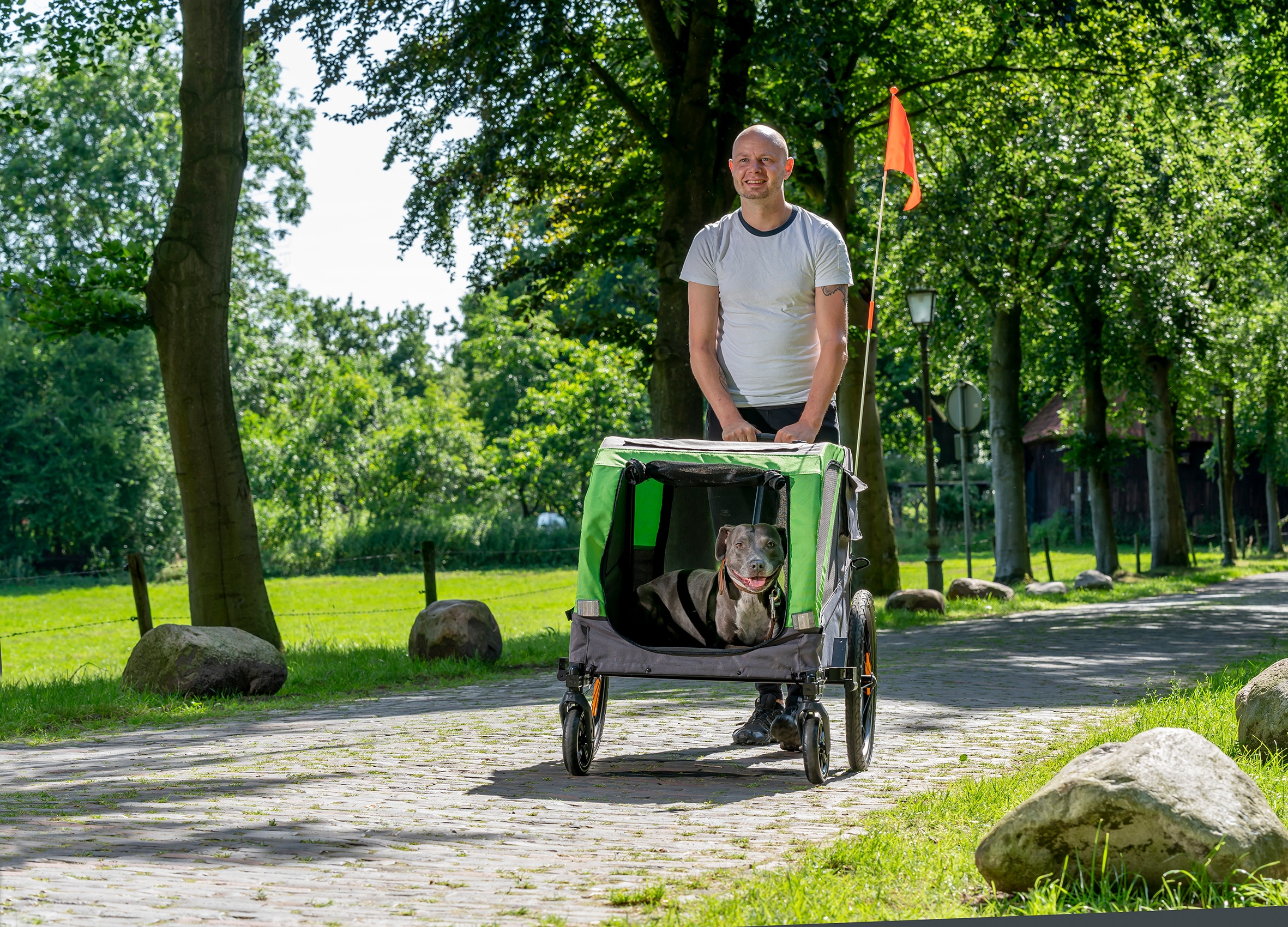 Prophete Fahrradhundeanhänger »Kleintierfahrradanhänger«