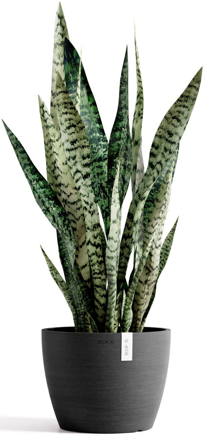 ECOPOTS Blumentopf »Stockholm 24 Dunkelgrau« für innen und außen: frostsicher, bruchsicher und lichtbeständig