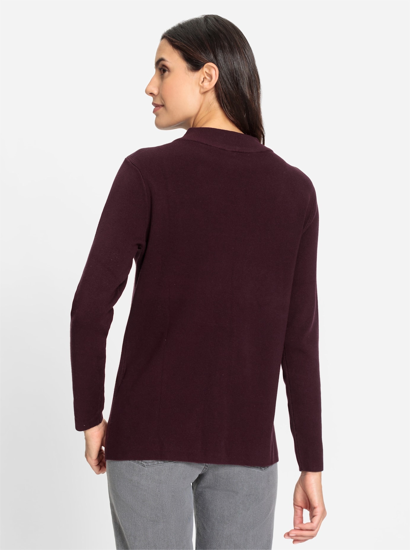 Inspirationen Stehkragenpullover »Stehkragen-Pullover«