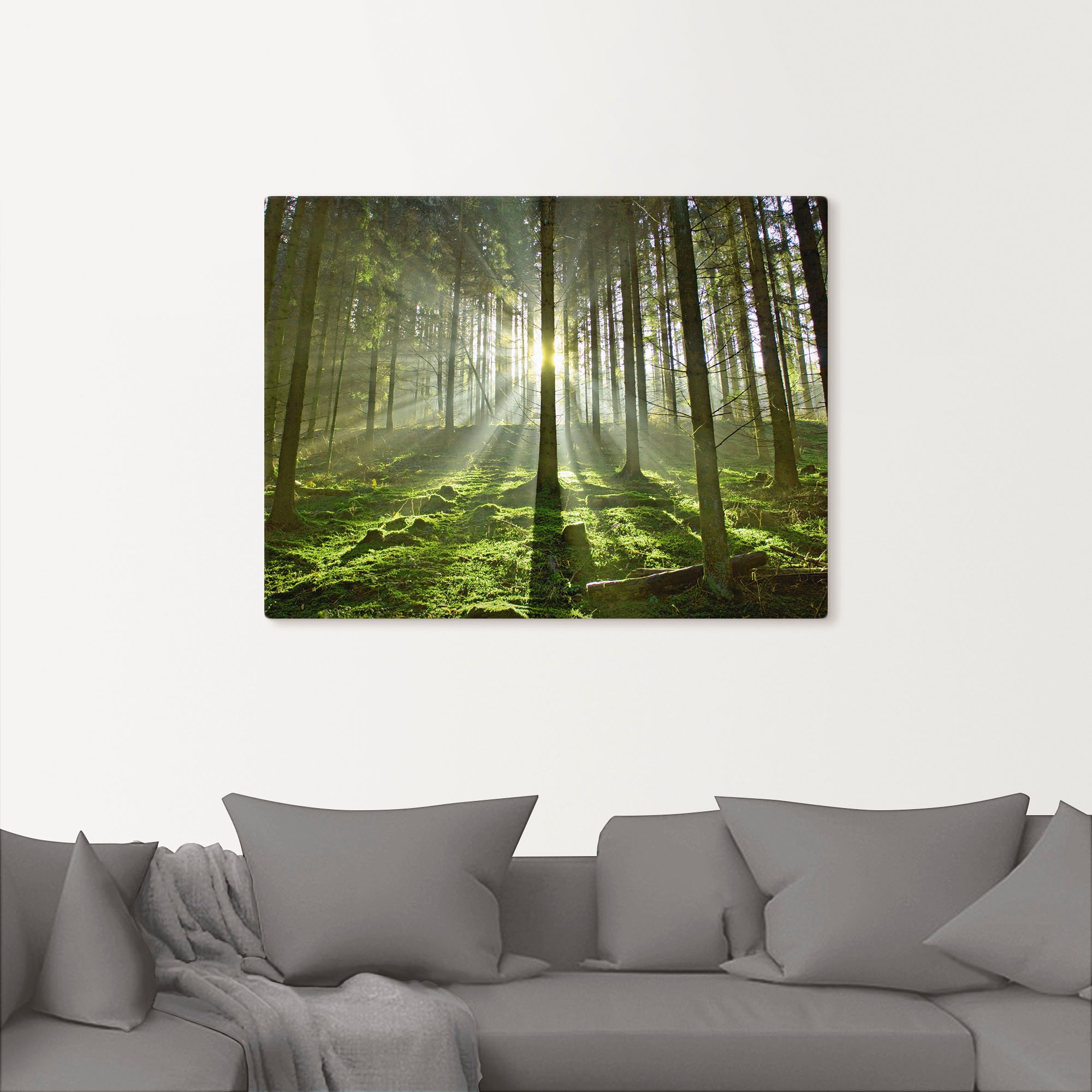 Artland Wandbild »Wald im Gegenlicht«, Wald, (1 St.), als Leinwandbild, Poster in verschied. Größen