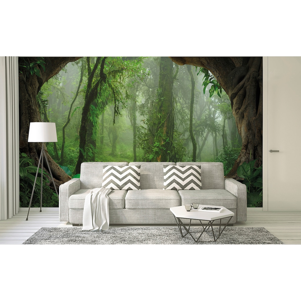 living walls Fototapete »Designwalls Tropical Forest«