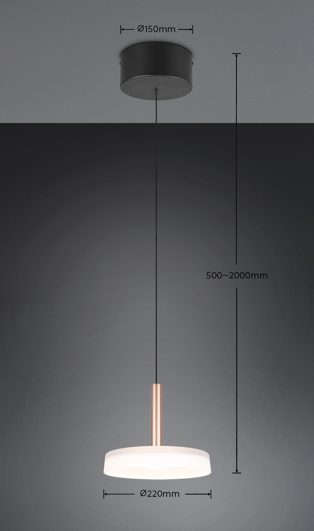 TRIO Leuchten LED Pendelleuchte »CELESTE dimmbare LED Hängelampe aus Metall und Glas, 10W 1100 Lumen«, 1 flammig, Leuchtmittel LED-Board | LED fest integriert, einfach höhenverstellbar von 50-200 cm, Ø 22cm, 3-Stufen Dimmfunktion