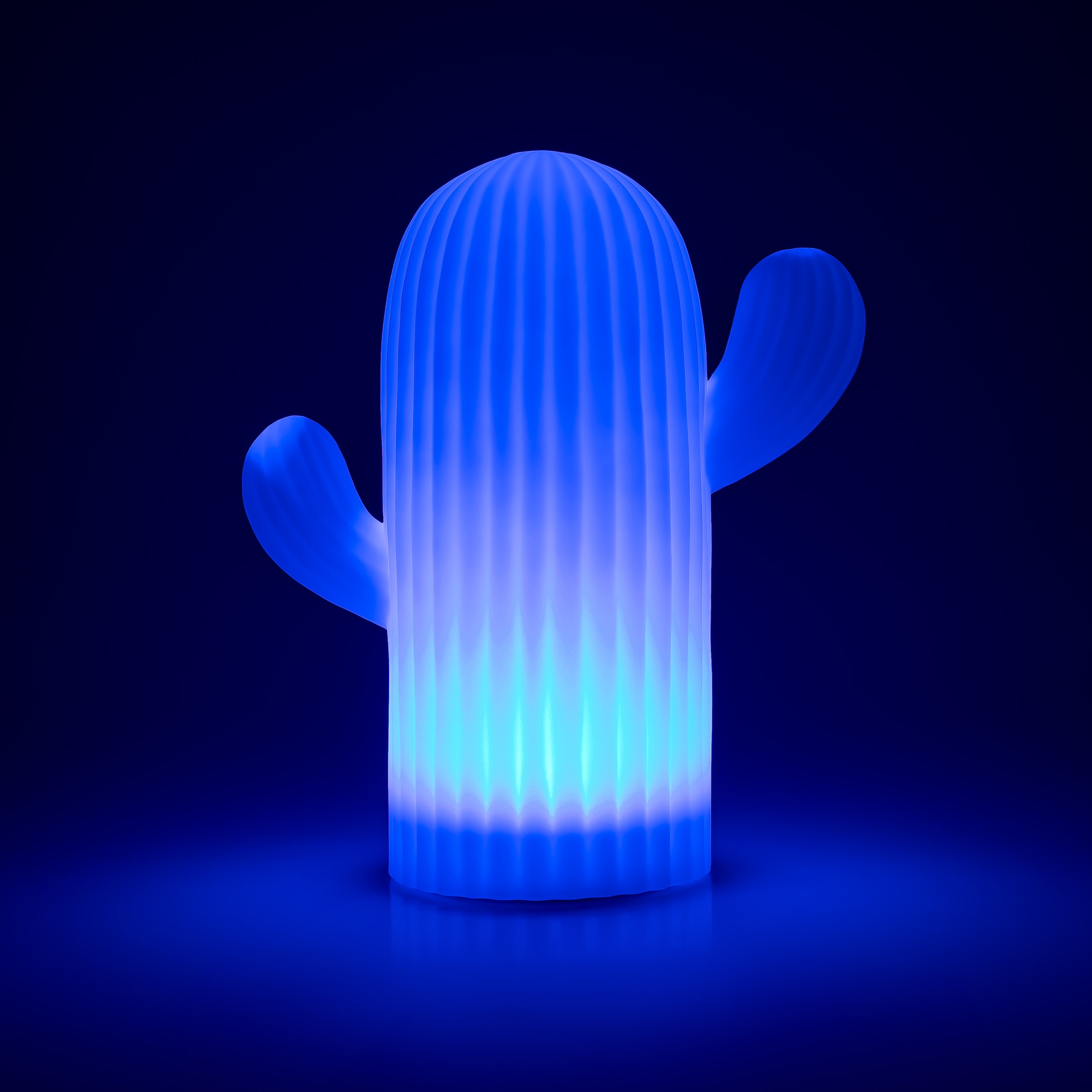 my home LED Solarleuchte »Elowyn, LED-Solar Kaktus«, Leuchtmittel LED-Modul | LED fest integriert, mit Erdspieß und Fernbedienung