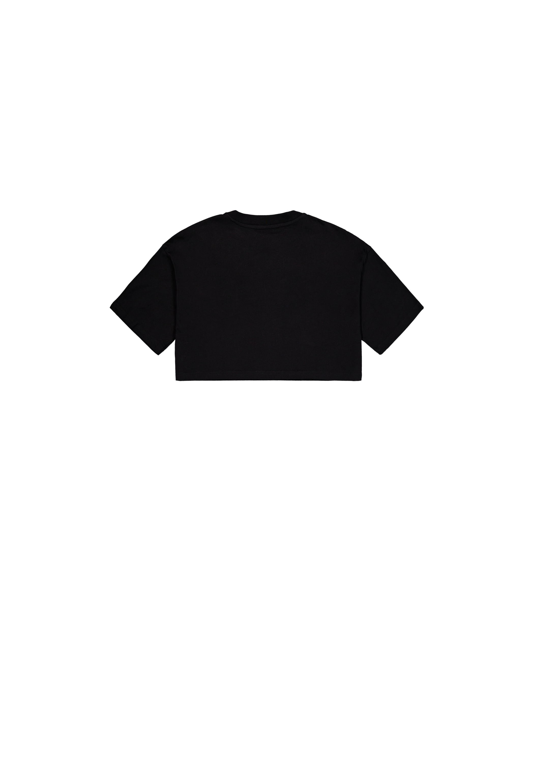 Alpha Industries T-Shirt »Basic T-Shirt SL Cropped PP W«