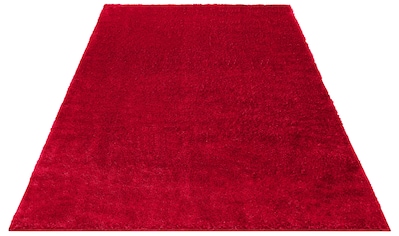 my home Hochflor-Teppich »Mikro Soft Ideal«, rechteckig, 30 mm Höhe, besonders weich... kaufen
