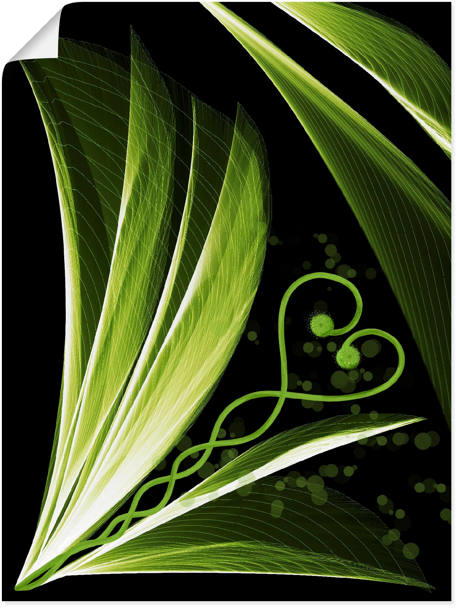 Artland Wandbild »Grünes Herzblatt dekorativ«, Spa Bilder, (1 St.), als  Alubild, Leinwandbild, Wandaufkleber oder Poster in versch. Größen  bestellen | BAUR