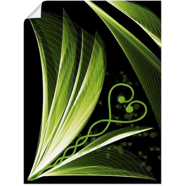 Artland Wandbild »Grünes Herzblatt dekorativ«, Spa Bilder, (1 St.), als  Alubild, Leinwandbild, Wandaufkleber oder Poster in versch. Größen  bestellen | BAUR