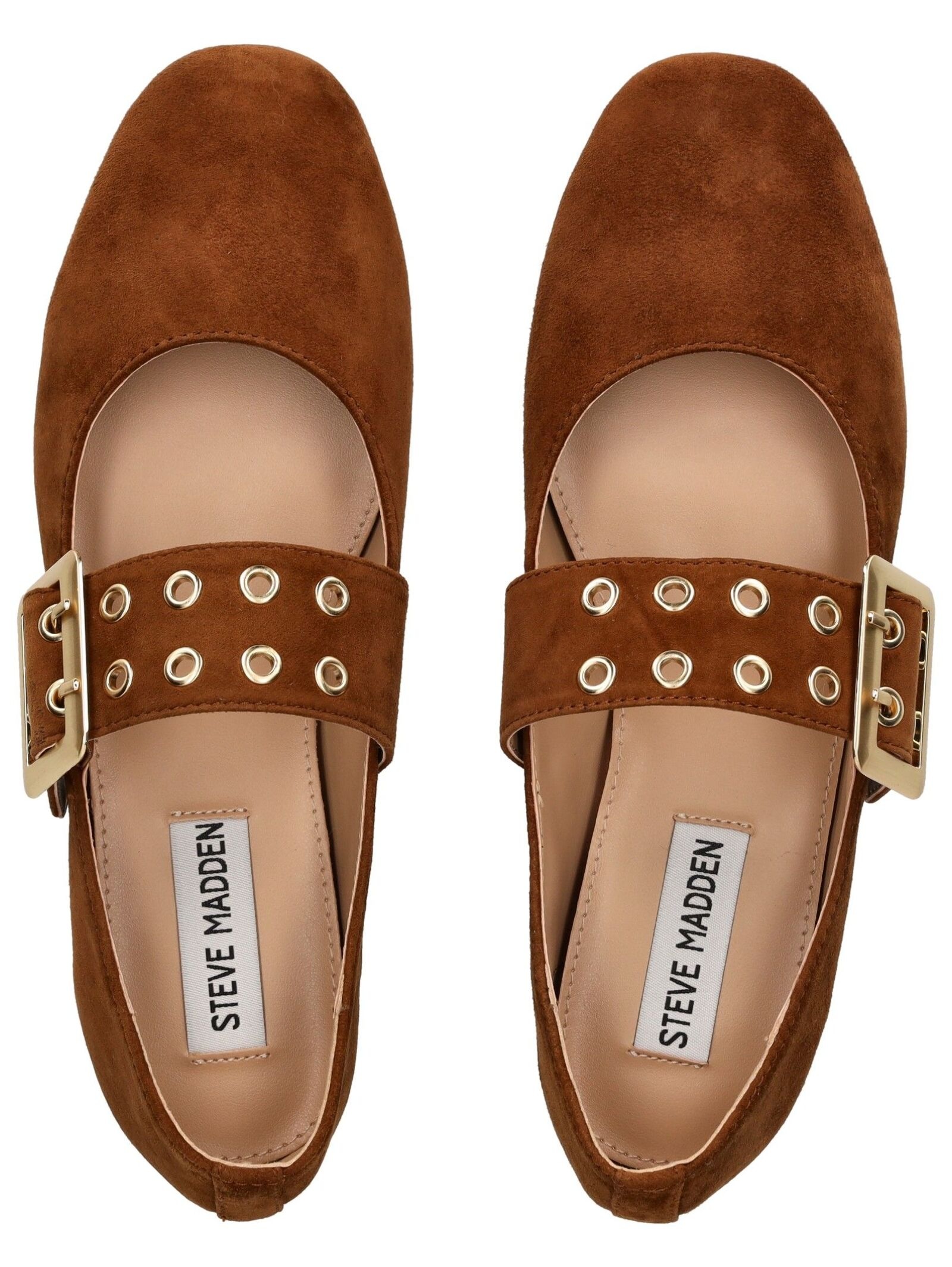 STEVE MADDEN Riemchenballerina »STEVE MADDEN Ballerinas Veloursleder«