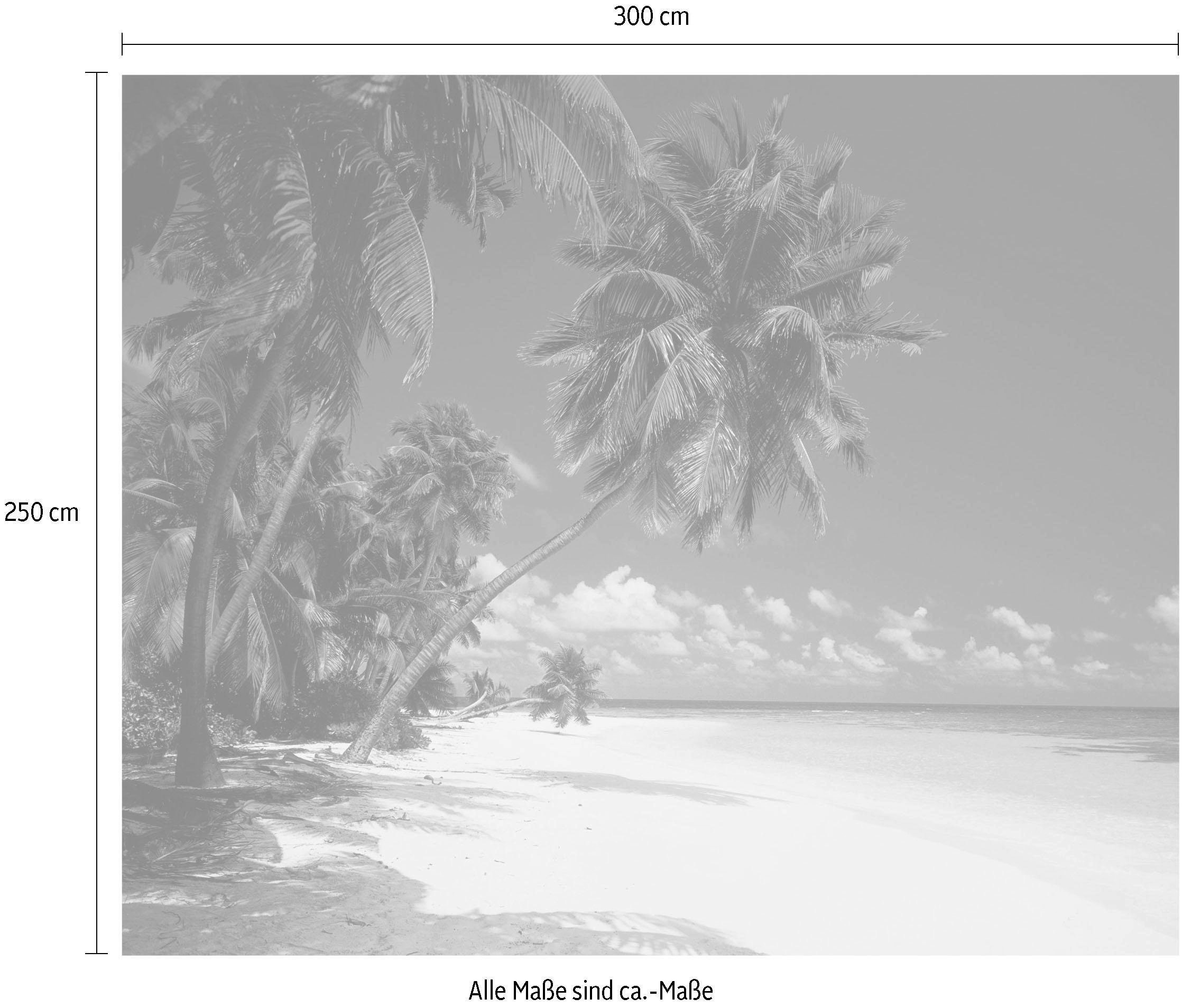 Komar Vliestapete »Maldives«, 300x250 cm (Breite x Höhe), Vliestapete, 100 cm Bahnbreite