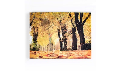 Leinwandbild »Art for the Home Leinwandbild Herbst - 100x75cm«, Bäume, (Packung, 1 St.)