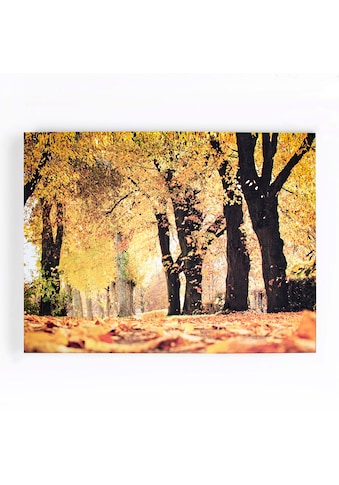 Leinwandbild »Art for the Home Leinwandbild Herbst - 100x75cm«, Bäume, (Packung, 1 St.)