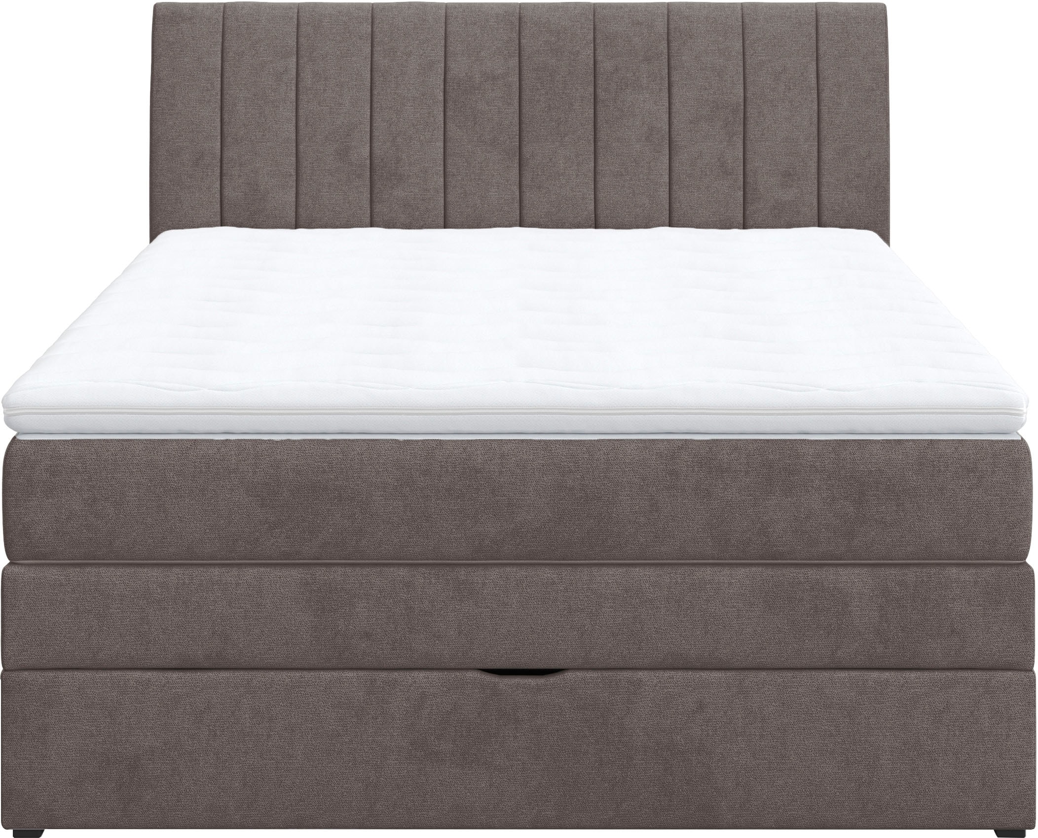 COTTA Boxspringbett »Shark inkl. Bettkasten und Topper«, erhältlich in den Breiten 140x200cm, 160x200cm und 180x200cm