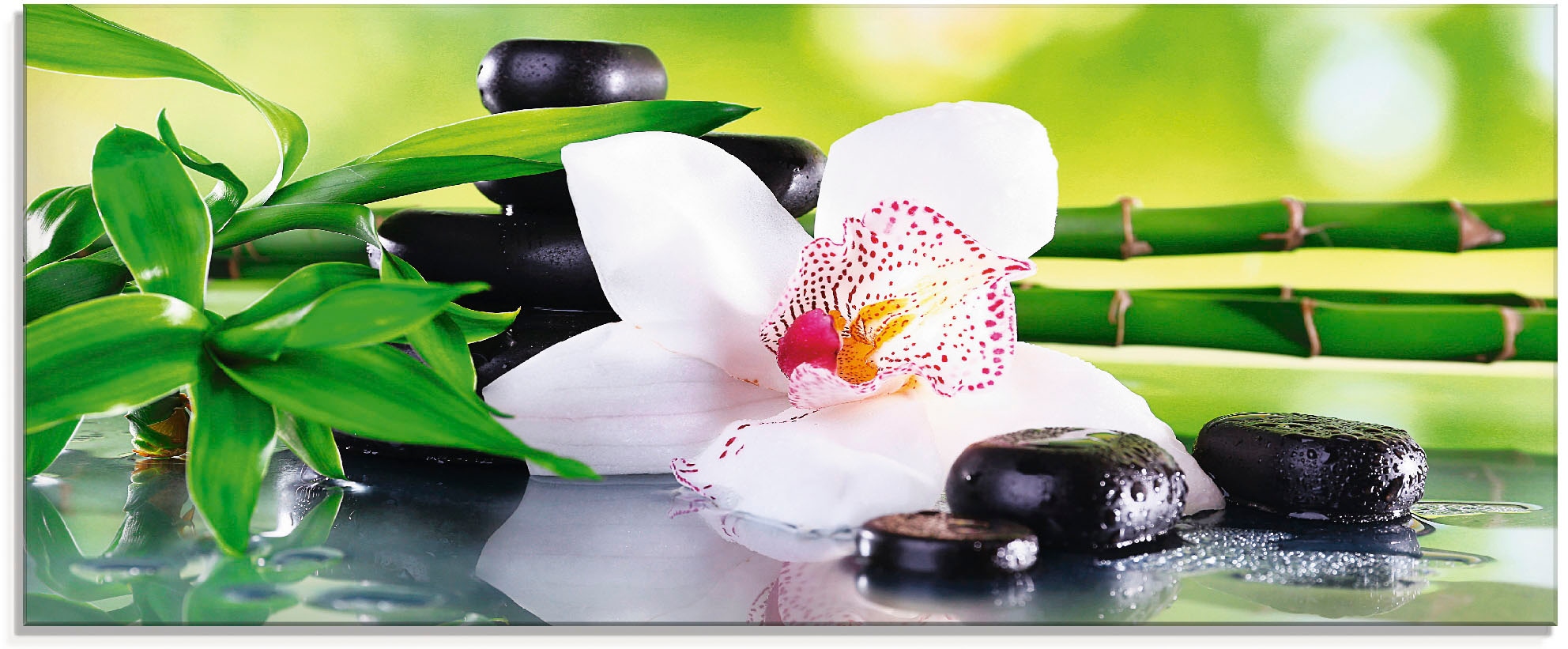 Glasbild Zweige Friday | Steine verschiedenen Orchidee«, Artland Zen, Größen (1 BAUR Bambus St.), Black in »Spa