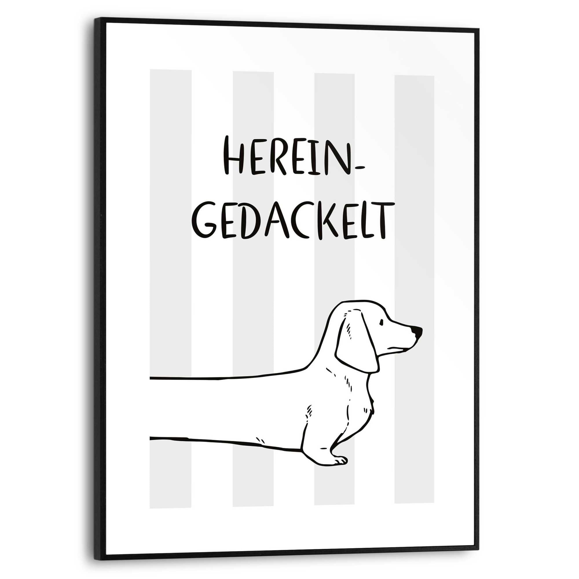 Reinders! Bild mit Rahmen »Hereingedackelt« Tiere 1 Stk. tlg. Wohnzimmer - Schwarz-Weiß - MDF - Tiere - 30x40 cm