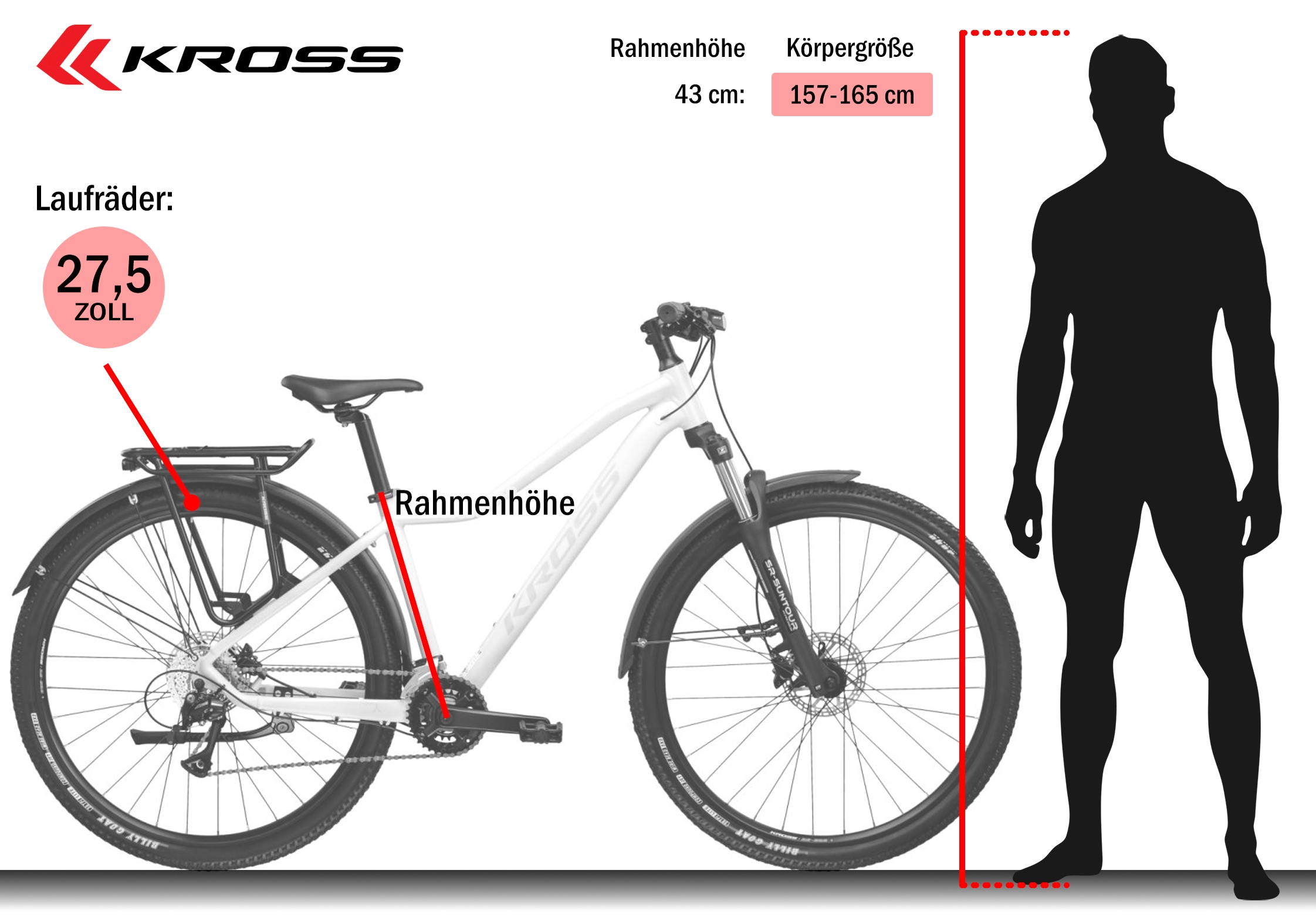 Kross Mountainbike »KROSS Mountainbike Hardtail 27,5" LEA 4.0 EQ grün 16 Gänge« 16 Gang Shimano ACERA M3020 Schaltwerk Kettenschaltung