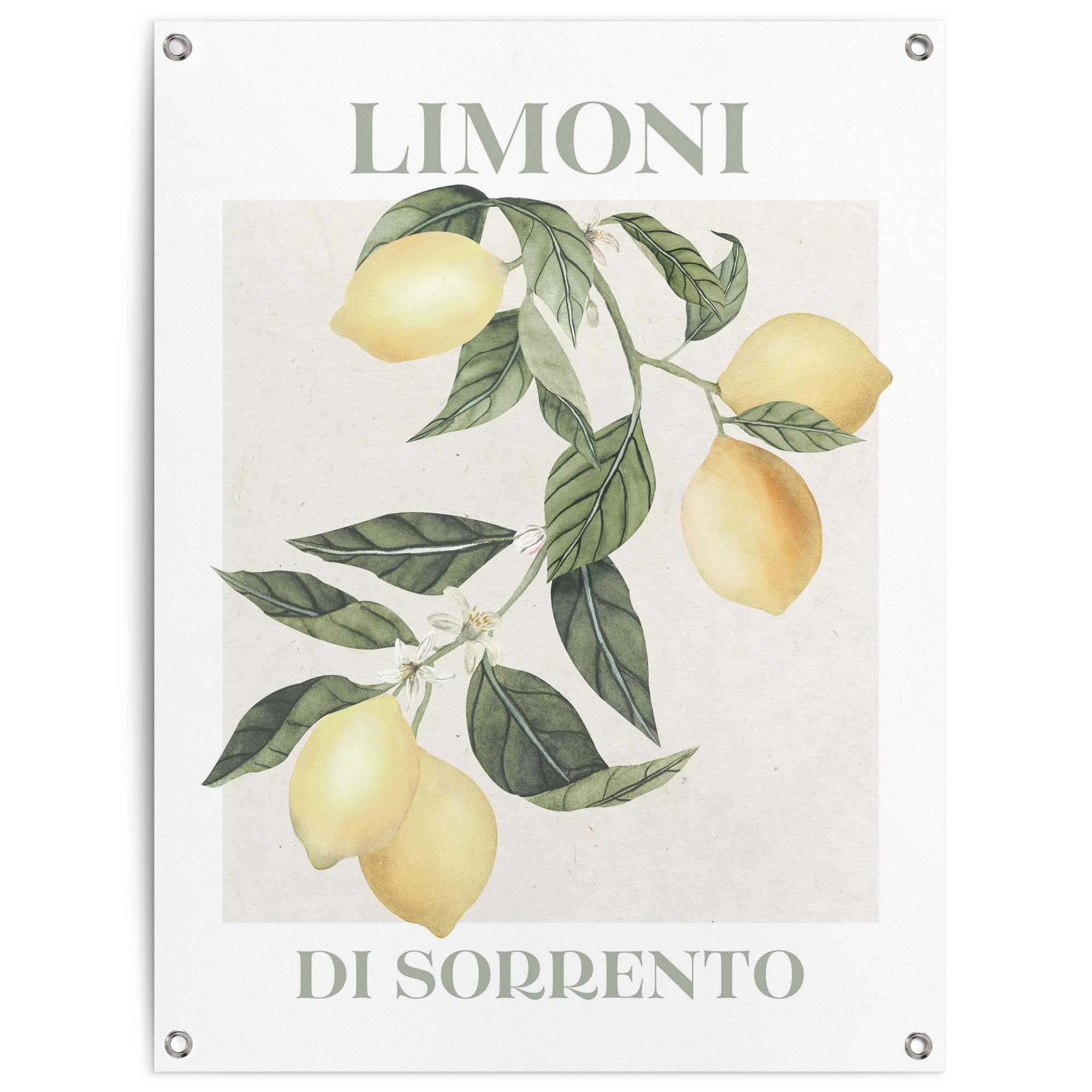 Reinders Poster "Limoni" Garten - Zitrone - Sorrento - Gelb - Leinwand - 60x80 cm
