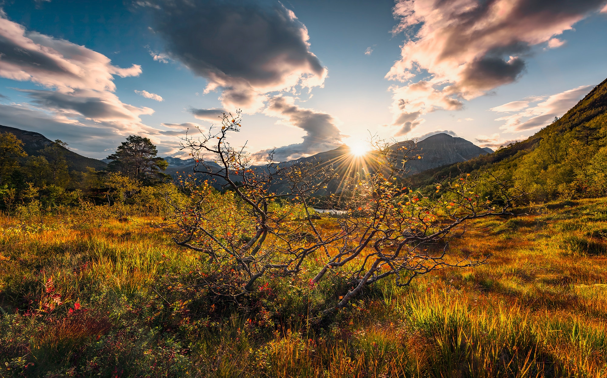 Komar Vliestapete "Norwegische Herbstwelten", 450x280 cm (Breite x Höhe), Wohnzimmer, Schlafzimmer