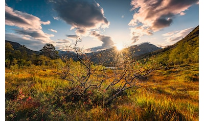 Vliestapete »Norwegische Herbstwelten«