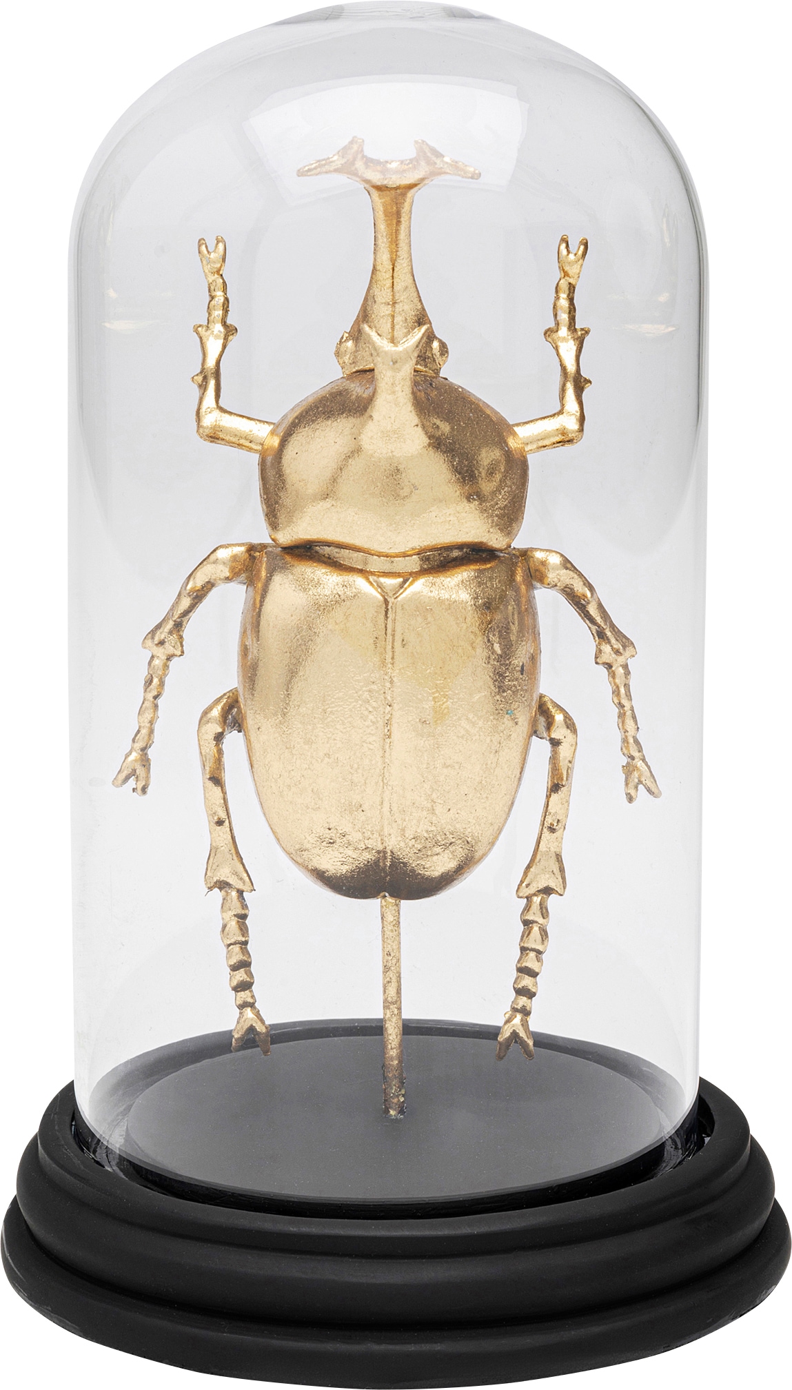 Kare Design Dekoobjekt "Stag Beetle 20cm"