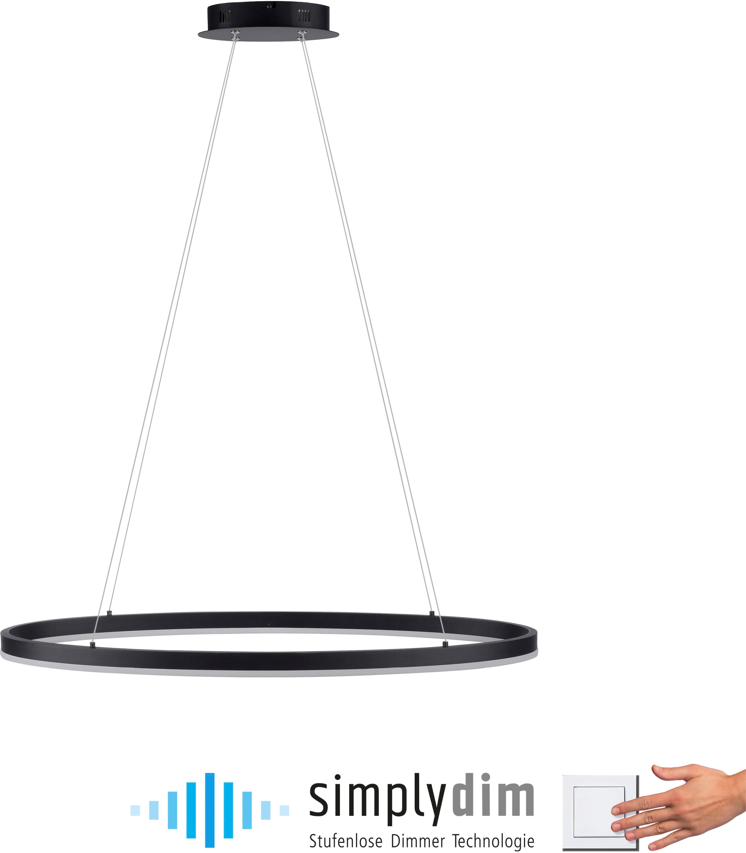 Pendelleuchte | Dim 1 Paul »TITUS«, flammig-flammig, BAUR Neuhaus LED, Simply