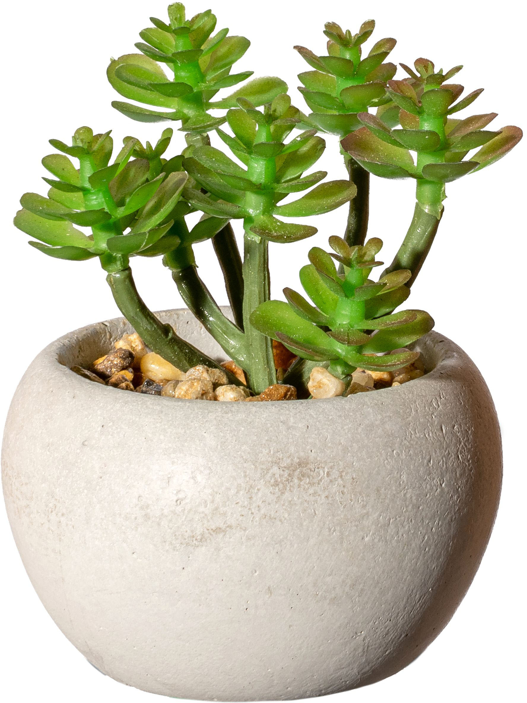 Thumbnail - Creativ green Künstliche Zimmerpflanze "Sukkulenten" Deko-Pflanze im Zementtopf, 6er Set