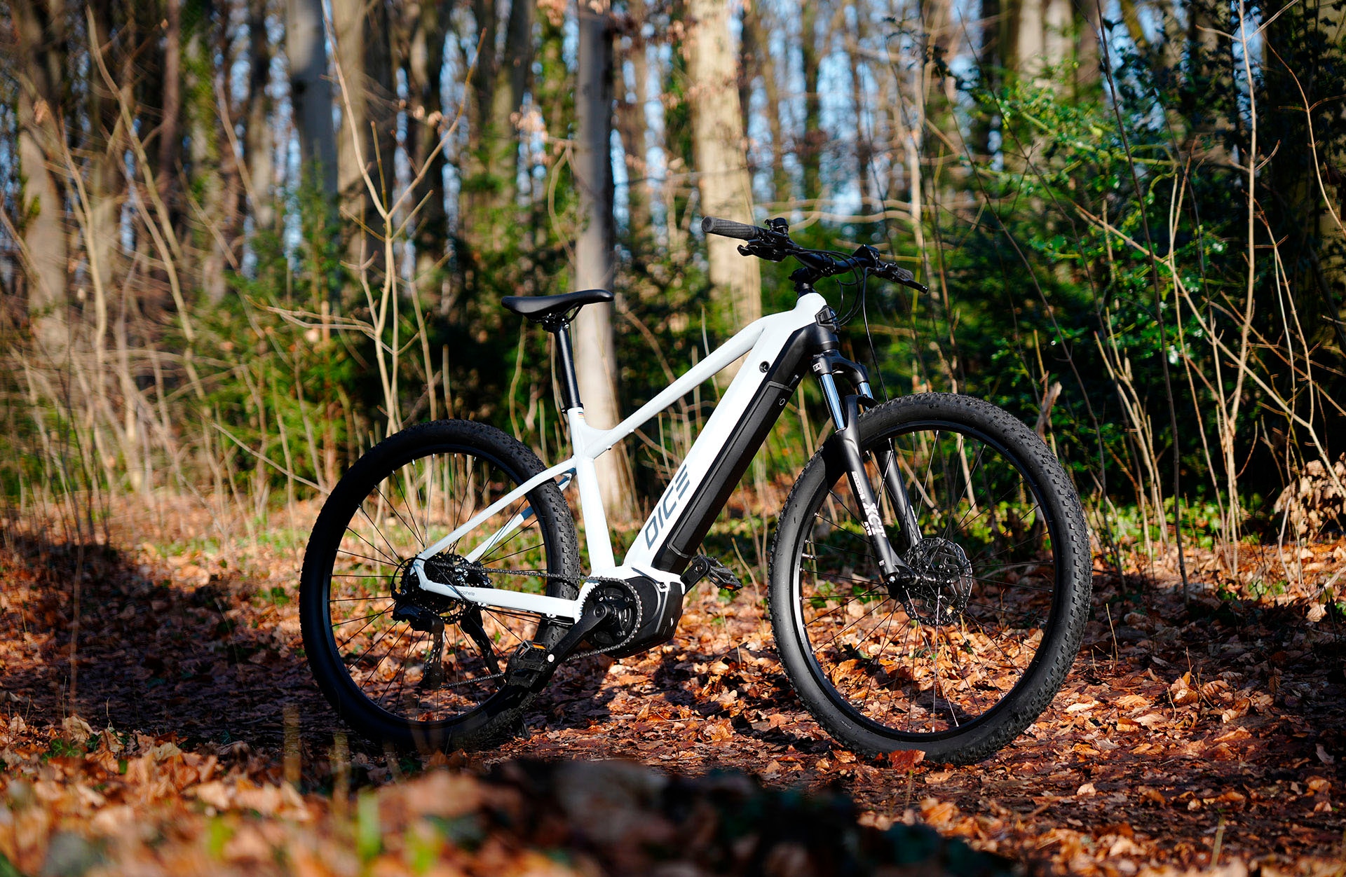 Prophete »Dice 3.8« 10 Gang Shimano Cues Schaltwerk Kettenschaltung Mittelmotor 250 W