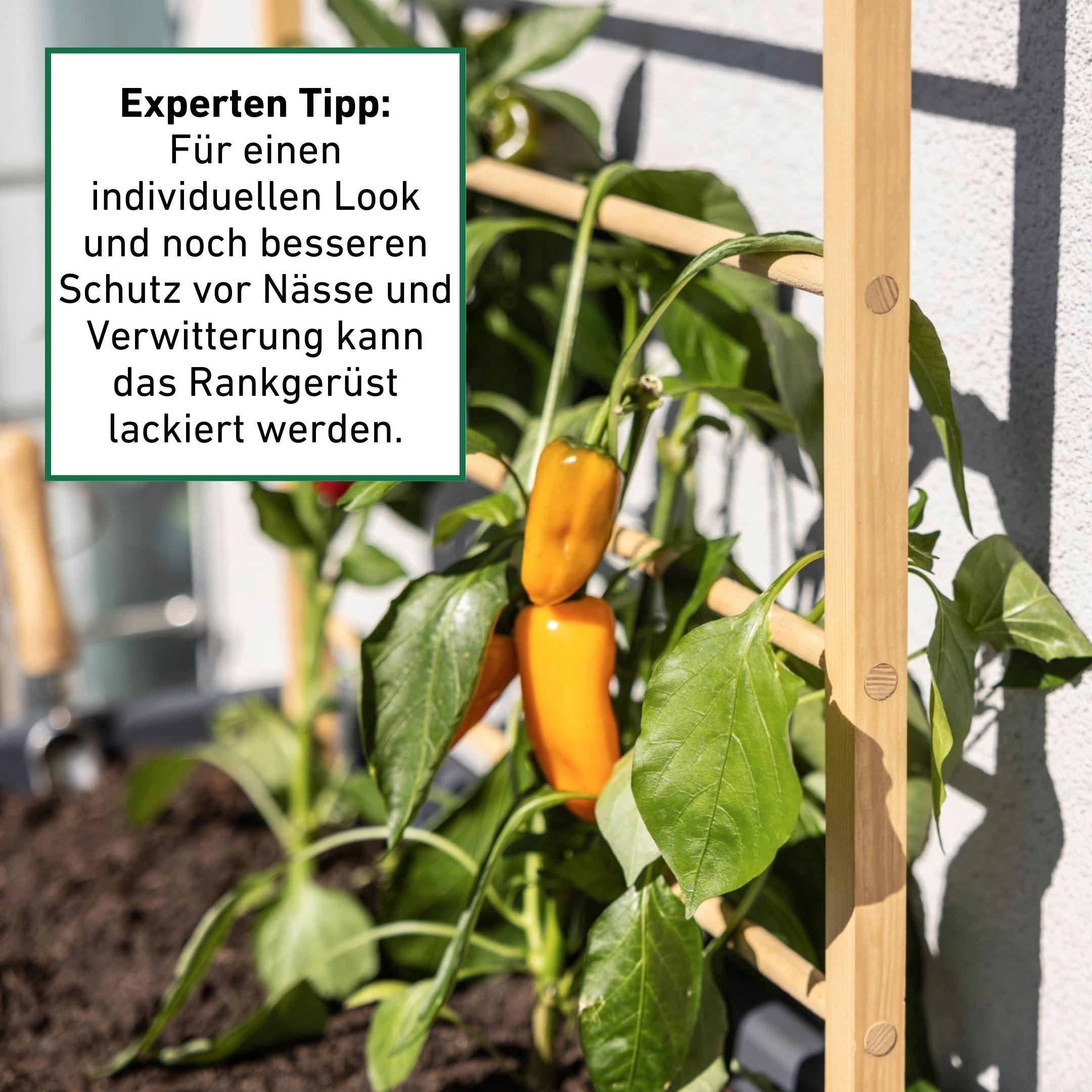 Windhager Rankgitter »für Blumen und Gemüsepflanzen in Garten- und Hochbeete« Kletterhilfe 80 x 170 cm, Rankgerüst aus Holz