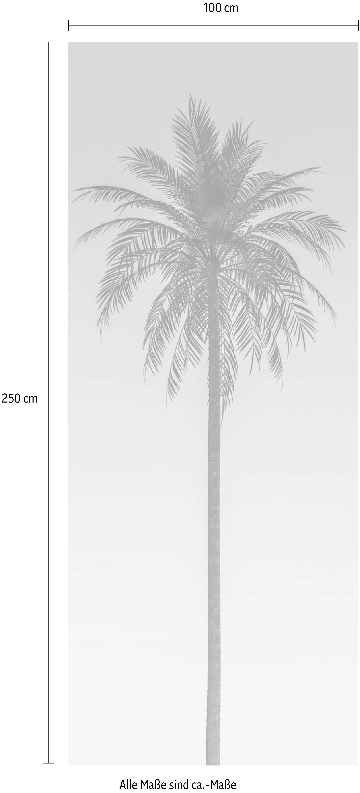 Komar Vliestapete, (Breite x Höhe), Vliestapete, 100 cm Bahnbreite