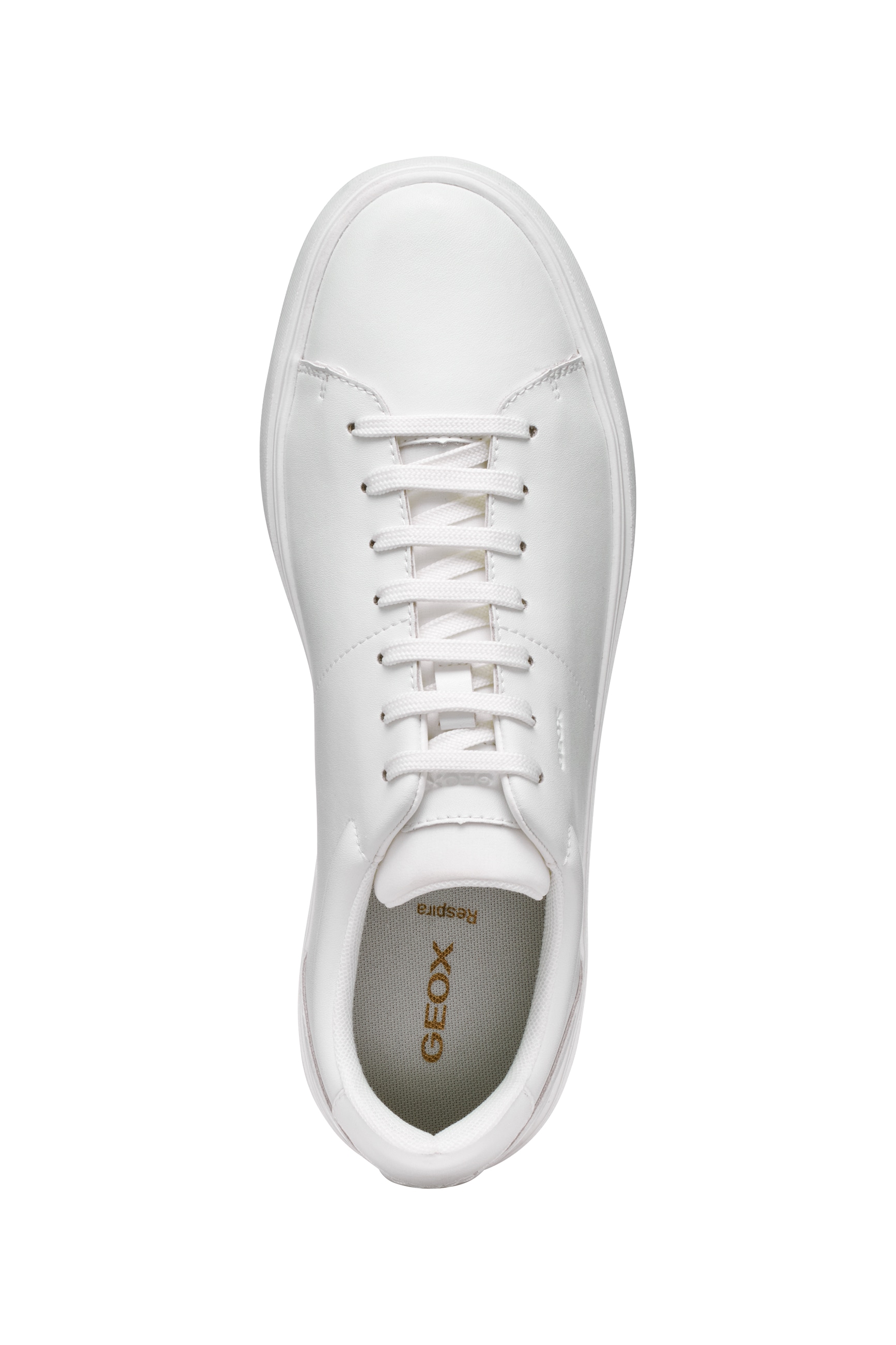 Geox Sneaker »U BALTMOORE«, Schnürschuh im Monochrome Look, Größenschablone zum Download
