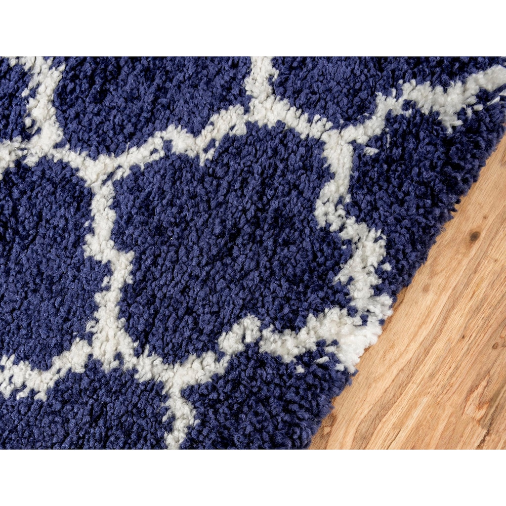 Myflair Möbel & Accessoires Hochflor-Teppich »Temara Shag«, rechteckig