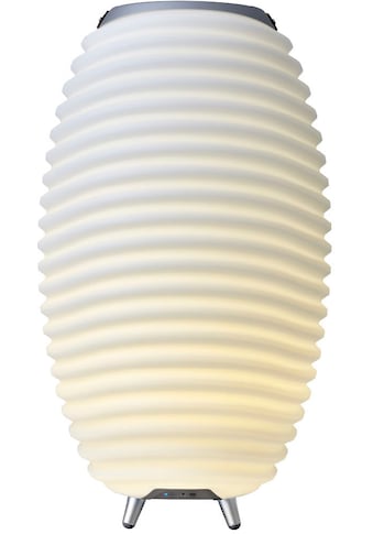 LED Stehlampe »Synergy 65«, 1 flammig-flammig, Hygge-Design, Bluetooth Lautsprecher,...