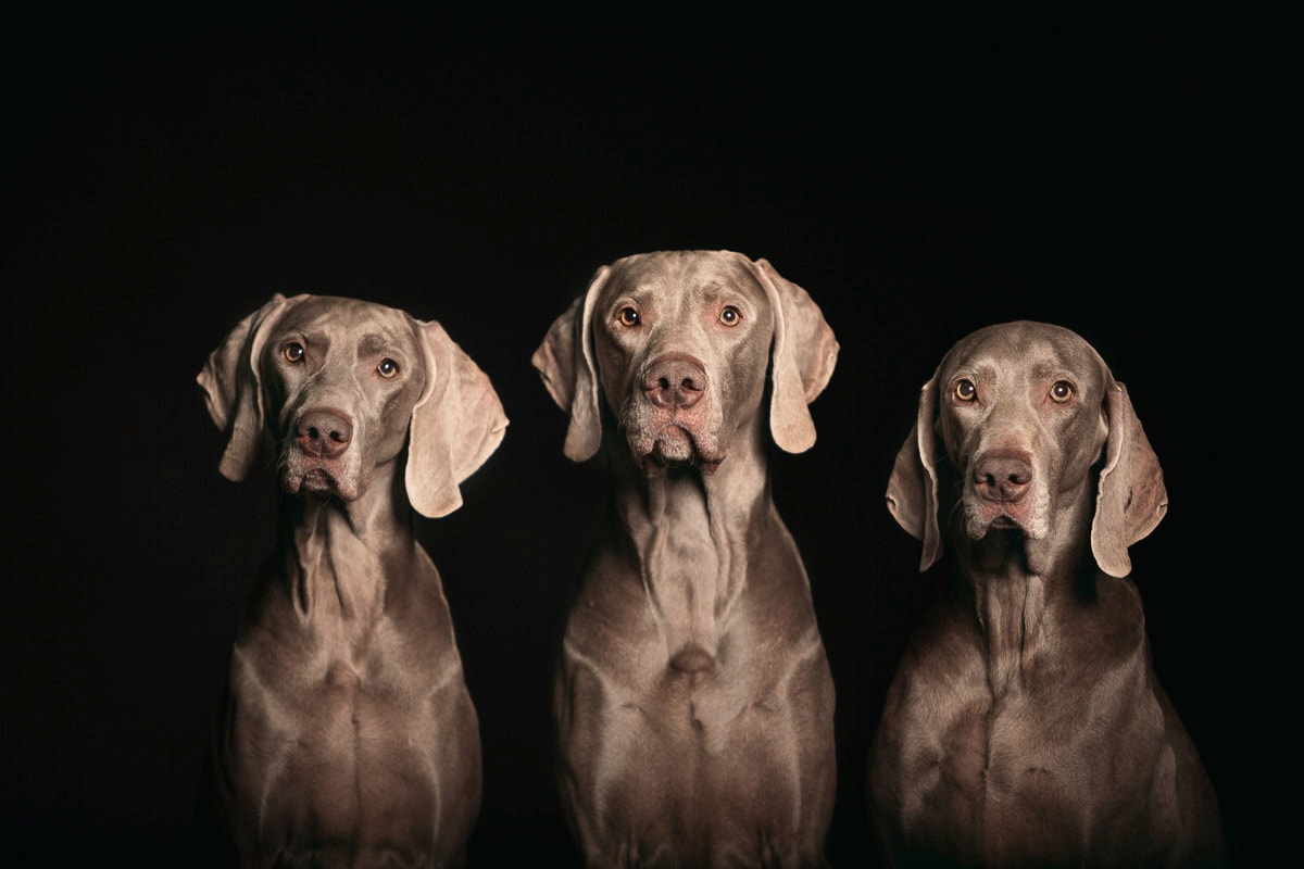 Papermoon Fototapete »Haus am Wasser«