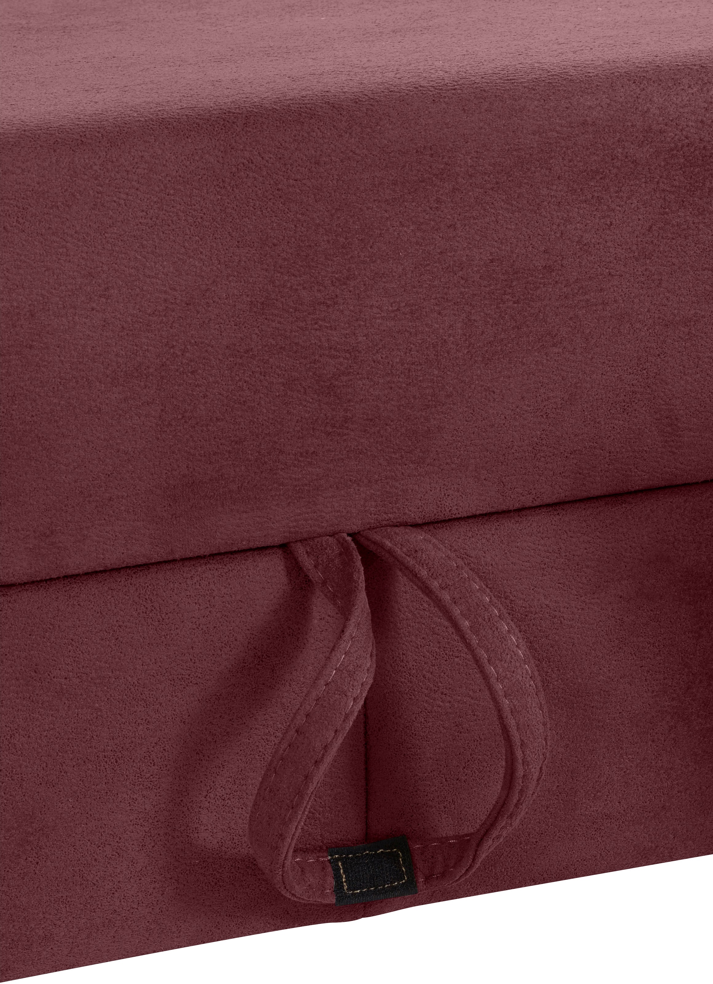 sit&more Ecksofa »Darwin L-Form« inklusive Federkern, wahlweise mit Kopfteilverstellung, Bettfunktion