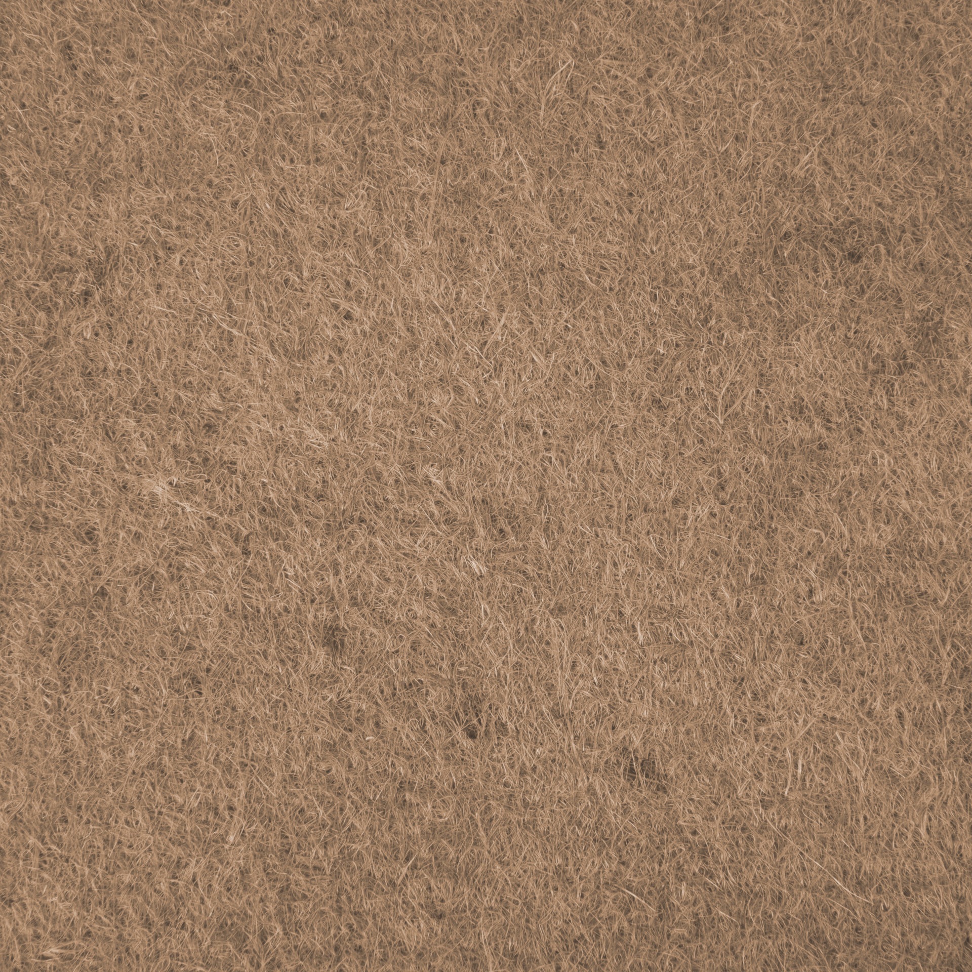 Windhager Winterschutzvlies »Rosenvlies-Haube, Thermovlies aus UV-Stabilisiertes Material« wasser - und luftdurchlässig, 0,75x1 m, Stärke 30 g/m2