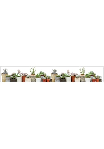 MySpotti Fensterfolie »Look Succulents« halbtra...