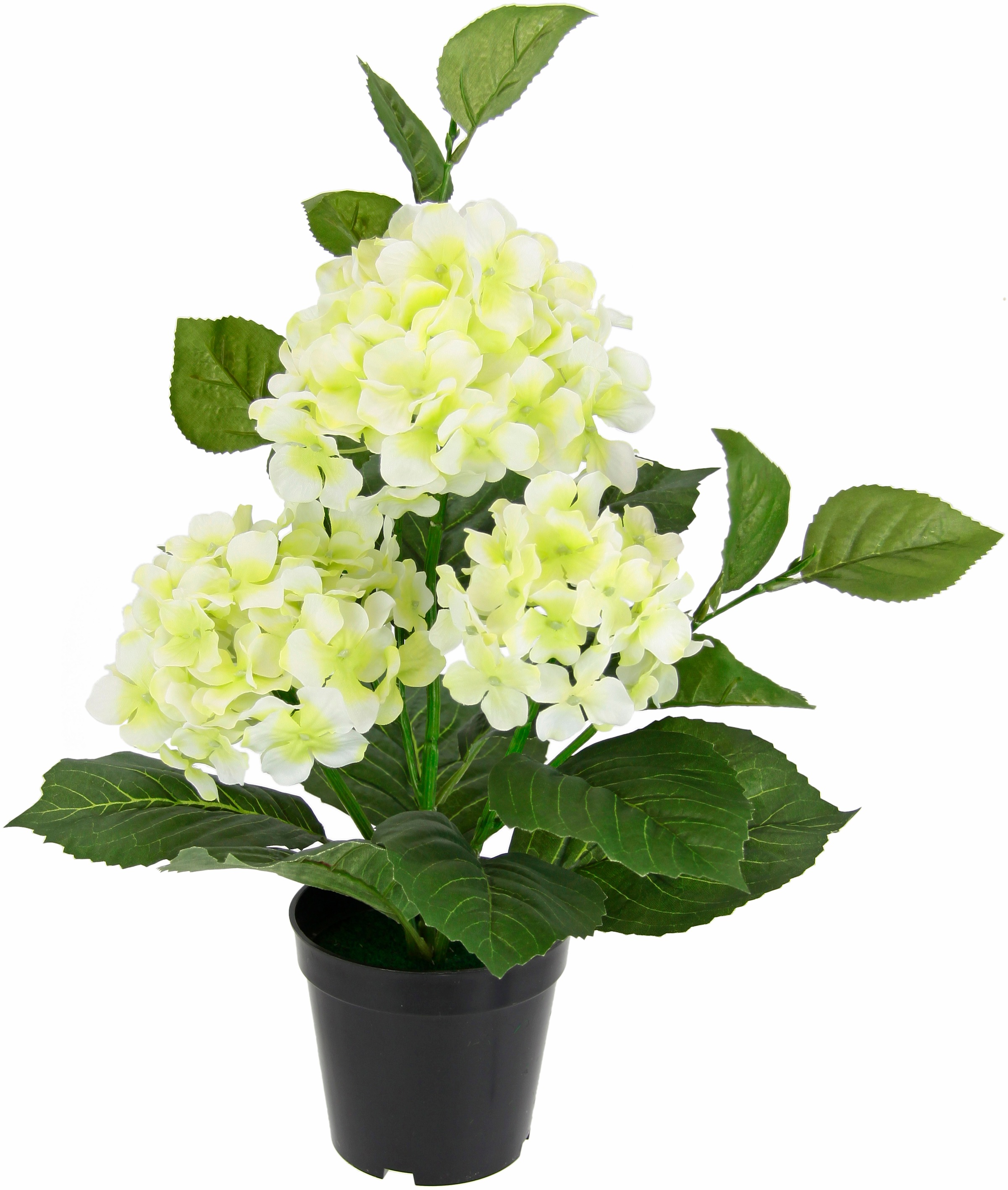 I.GE.A. Kunstblume "Hortensien" Künstliche Hortensie im Topf Blume Hortensi günstig online kaufen
