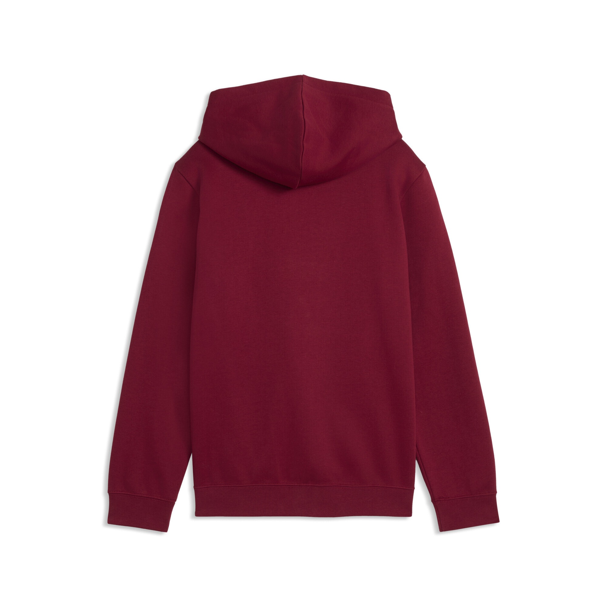 PUMA Hoodie »ESS No. 1 Logo Fleece-Hoodie Mädchen«
