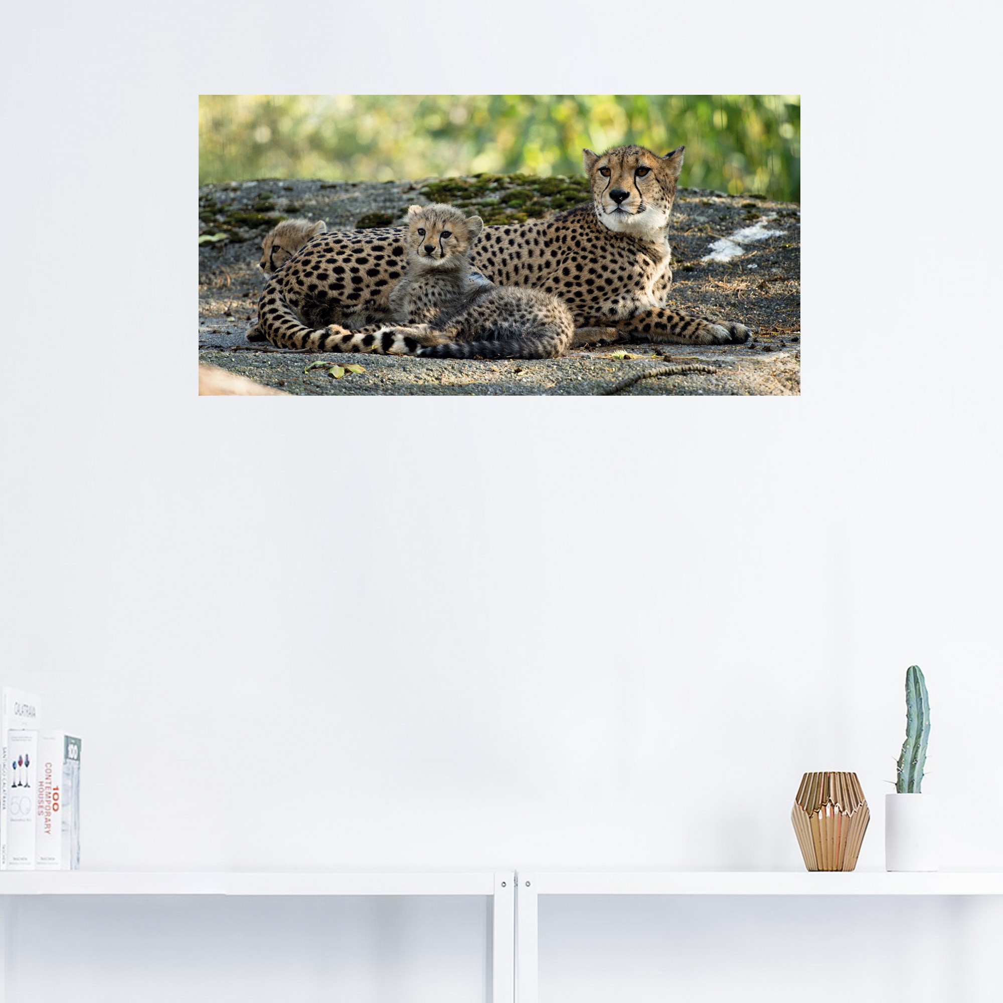 Artland St.), Größen Wildtiere, kaufen (1 BAUR 2«, »Gepard Wandbild versch. Wandaufkleber Leinwandbild, Poster | in oder Alubild, als