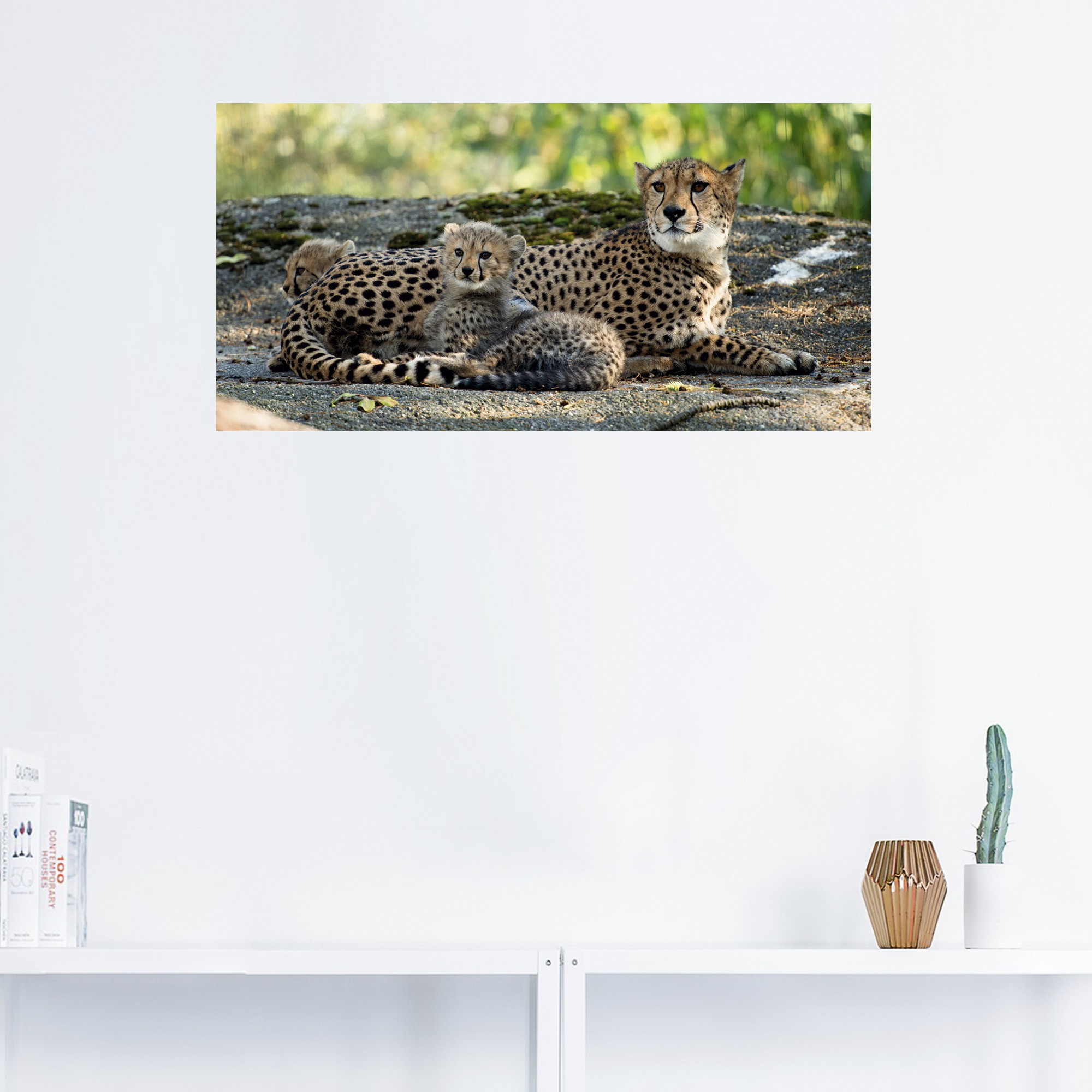 Artland Wandbild "Gepard 2", Wildtiere, (1 St.), als Leinwandbild, Poster, günstig online kaufen