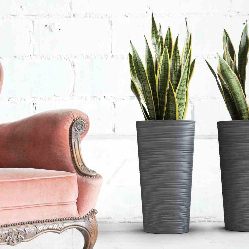 Siena Garden Pflanzkübel Rillenoptik, rund