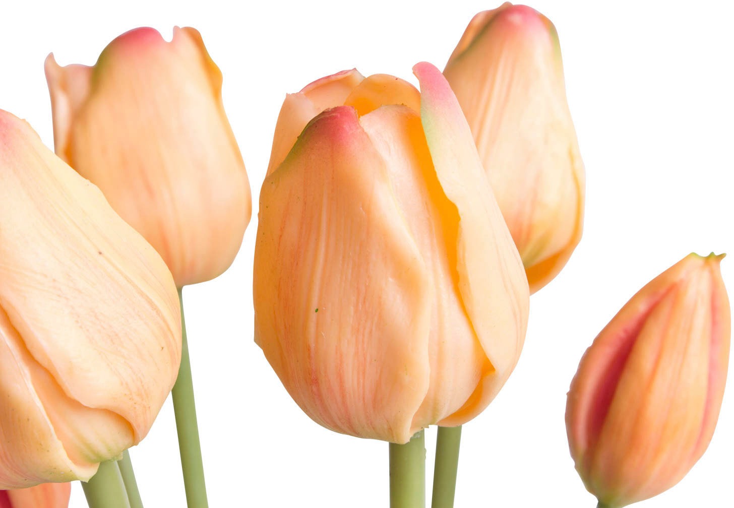 my home Kunstpflanze »Maiva«, Tulpenbündel im 7er-Set