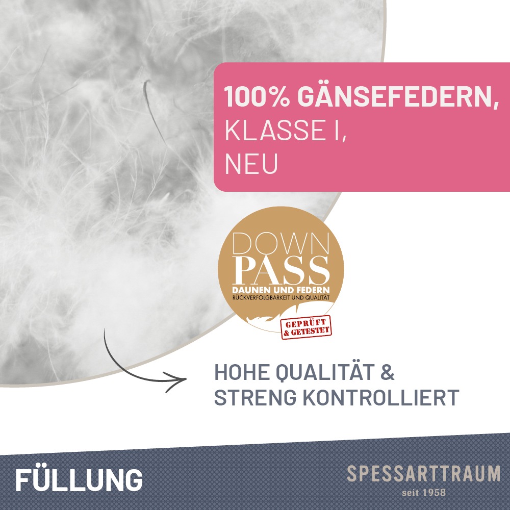 Thumbnail - SPESSARTTRAUM Gänsefederkopfkissen "Premium, Kopfkissen 2-tlg. 40x80 oder 80x80 cm" Füllung: 100GaensefedernKlasse1Downp...